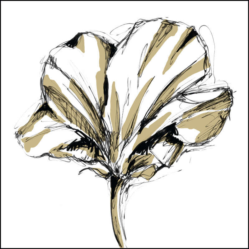 Tulip Sketch IV by Ethan Harper - Wrapped Canvas Art Prints, 30cm H x 30cm W x 3.8cm D