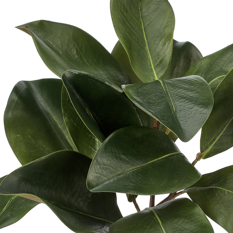 16" Natural Touch Magnolia Leaf Spray