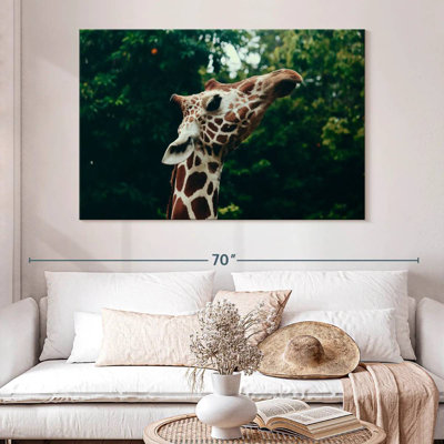 Brampt Giraffe Head Close-Up