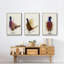 Pheasant Splash 3 3 pièces-91415681-91415684