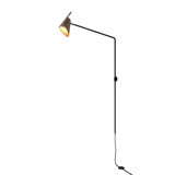 Balance 1 - Light Spotlight