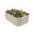 Planter-1348344875
