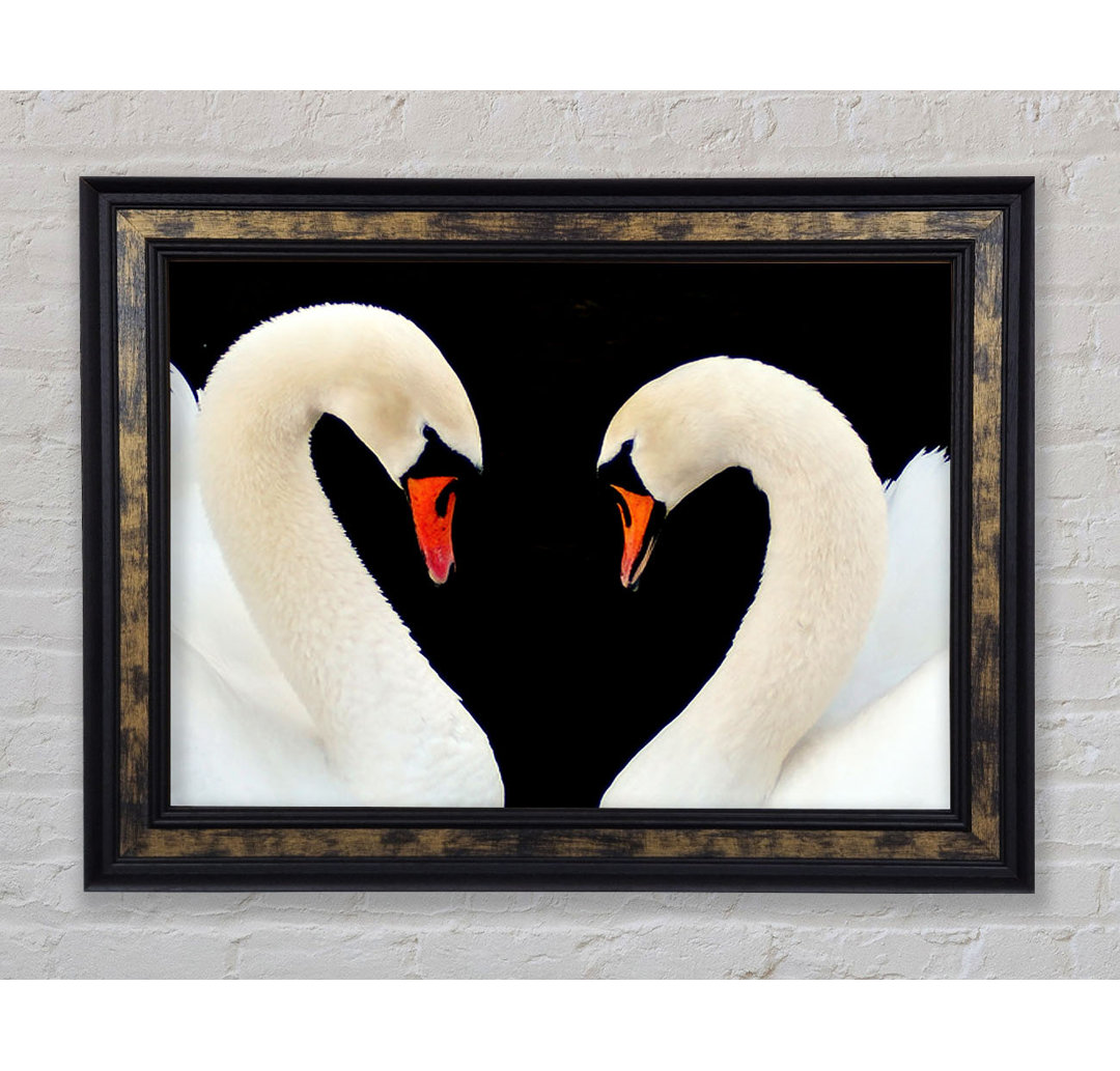 Love Heart Swans - Einzelne Bilderrahmen Kunstdrucke