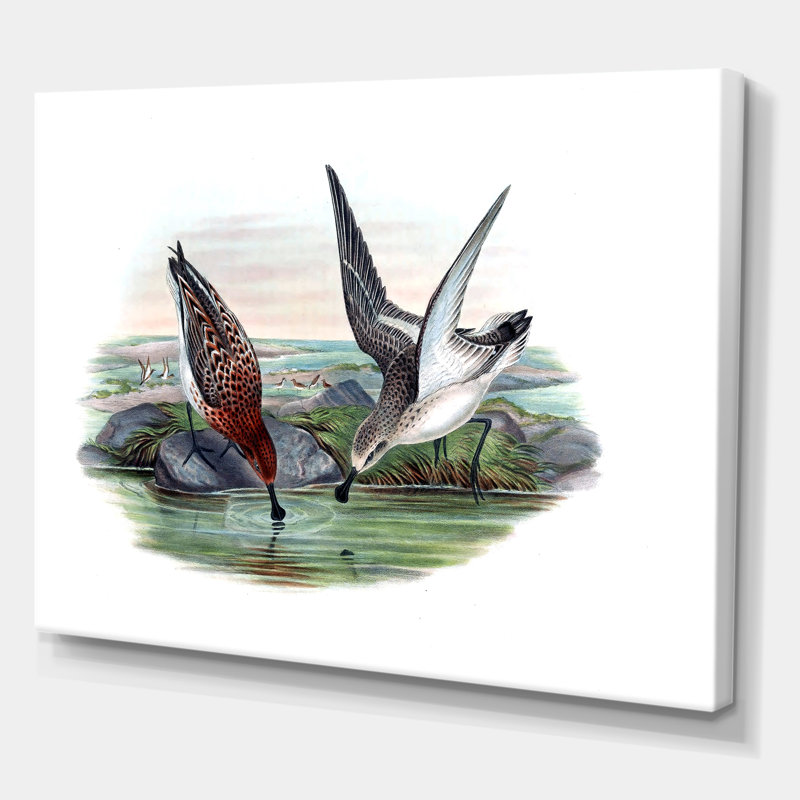 Vinage, animaux de campagne IV - impression sur toile, Toile tendue, H 30 po x l 40 po x 1,5 po