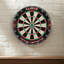 League Sisal Bristle Dartboard