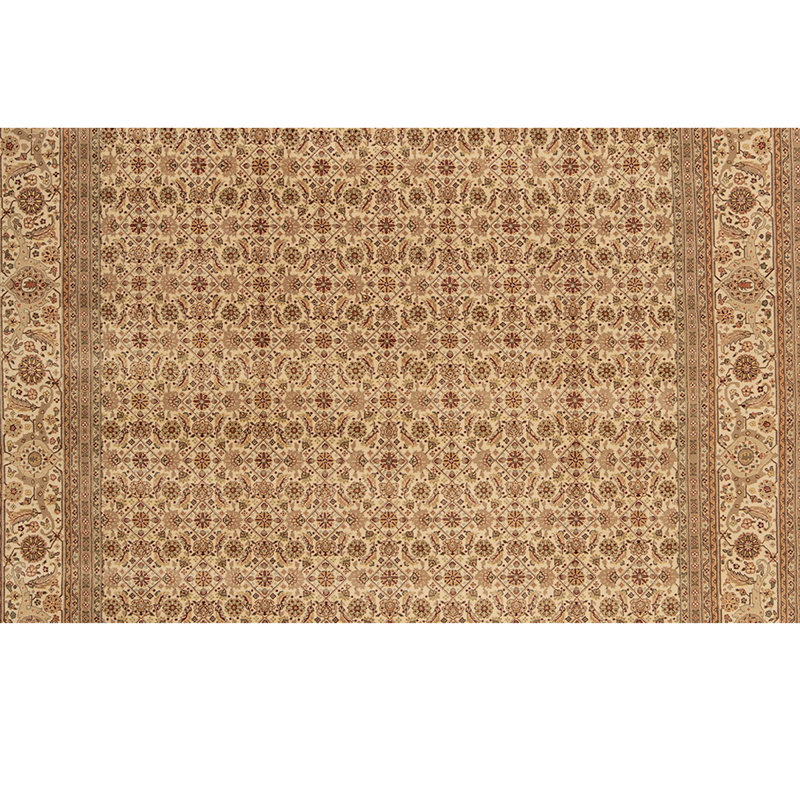 Wool Oriental Area Rug in Ivory