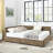 Size Storage Upholstered Tufted Bed Frame, Sofa Bed Frame With Comfortable Backrest And Armrests, Size Bed For Bedroom, Living Room,Velvet,-1804401835