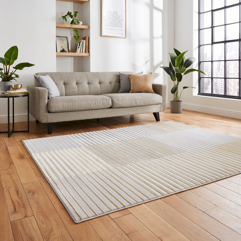 Apollo area rug Machine Woven Rectangle Grey, Rectangle 120 x 170cm
