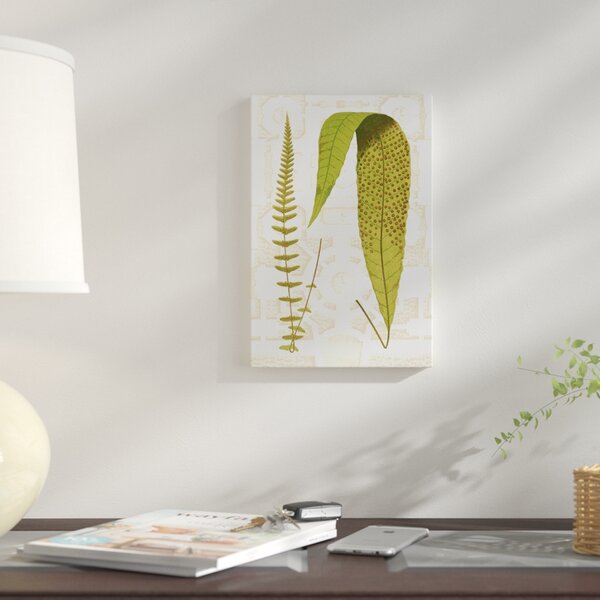 Bless international Garden Ferns III Framed by Vision Studio Gallery ...