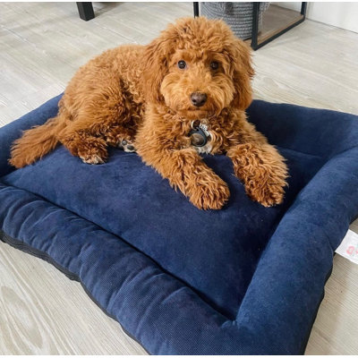Vera Polyester Pet Bed