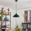 Binns 1 - Light Dome Pendant-962879304