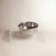 Single Bowl Elevated Feeder with Bowl-227706150-208799236
