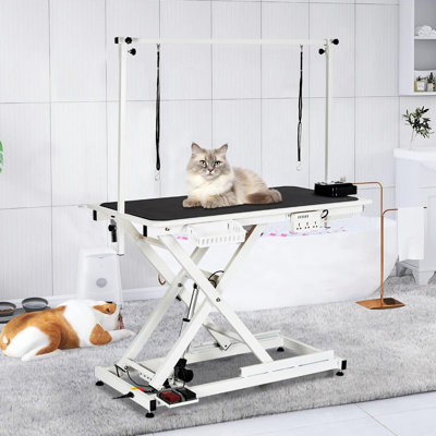 50'' Electric Dog Grooming Table, Heavy Duty, Height Adjustable Pet Grooming Table
