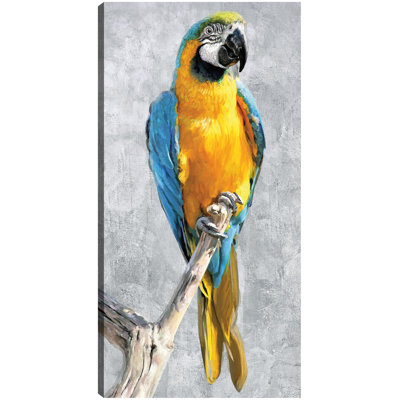 Tropical Parrots I by Studio Arts, 25x13", Blue Gold Macaw Parrot Portrait Canvas Wall Art Print