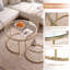 Lieselore Frame Coffee Table-934789650