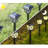 Black Low Voltage Solar Powered Integrated LED Pathway Light Pack