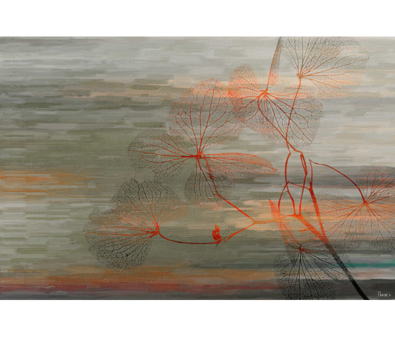 Parvez Taj - Wrapped Canvas Print, 61cm H x 91cm W