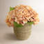 Fall Hydrangea Floral Arrangement-1288045204