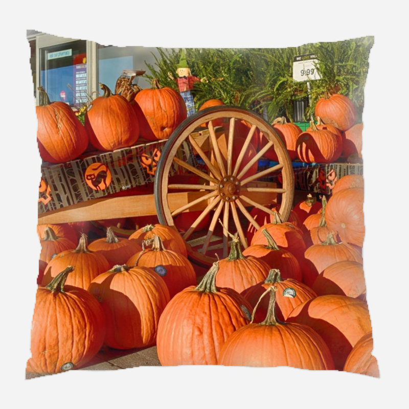  Coussin intérieur / extérieur Pumpkins