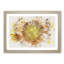 The Eye of a Yellow Sunflower - Picture Frame Painting Print-56855506-56855503