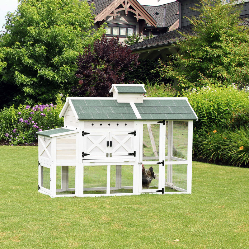Poulailler en bois avec boîte de nidification 2246,31 pi²