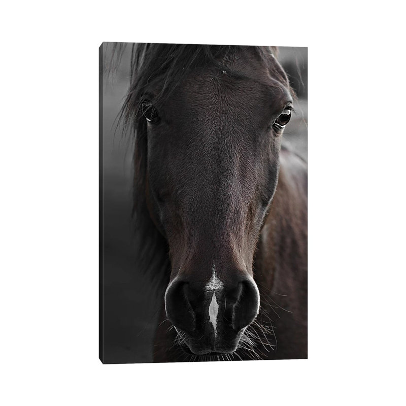Imprimé cheval foncé par Monika Strigel, Toile tendue, Pas de tapis, H 12 po x l 8 po x P 0,75 po