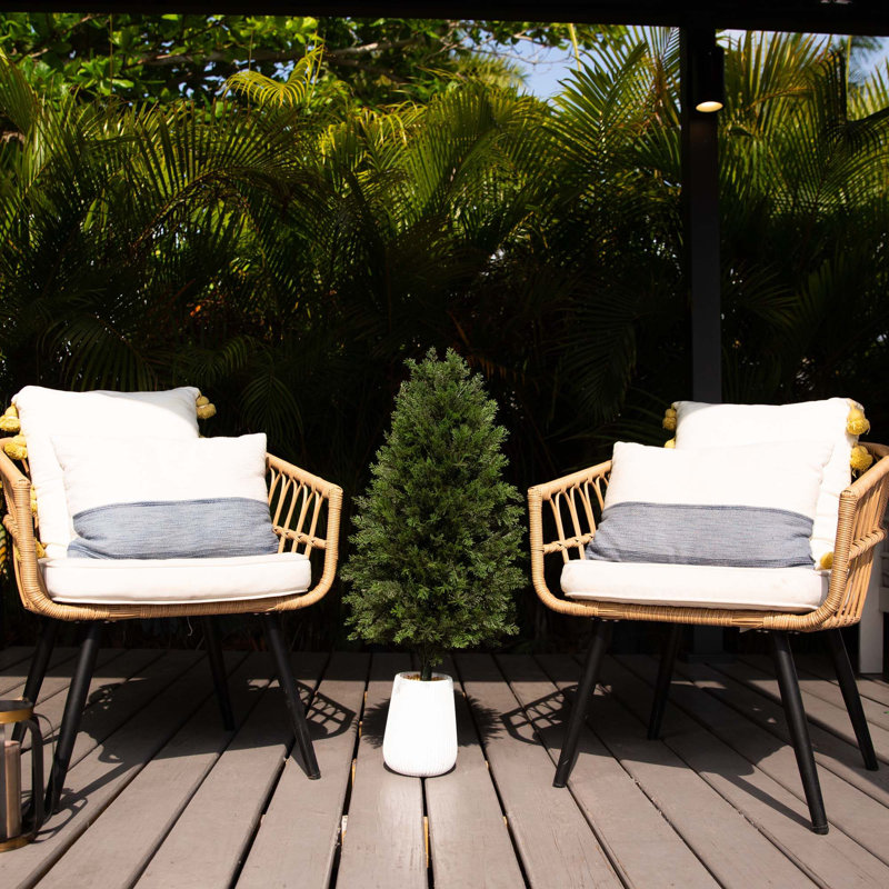 3ft. UV Resistant Artificial Cedar Tree in Decorative White Planter (Indoor/Outdoor)