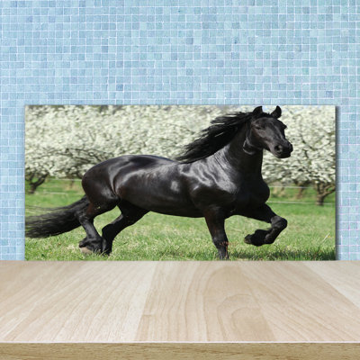 Friedlaender 50cm W x 100cm L Glass Peel and Stick Panel