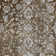Raashid Oriental Indoor Rug