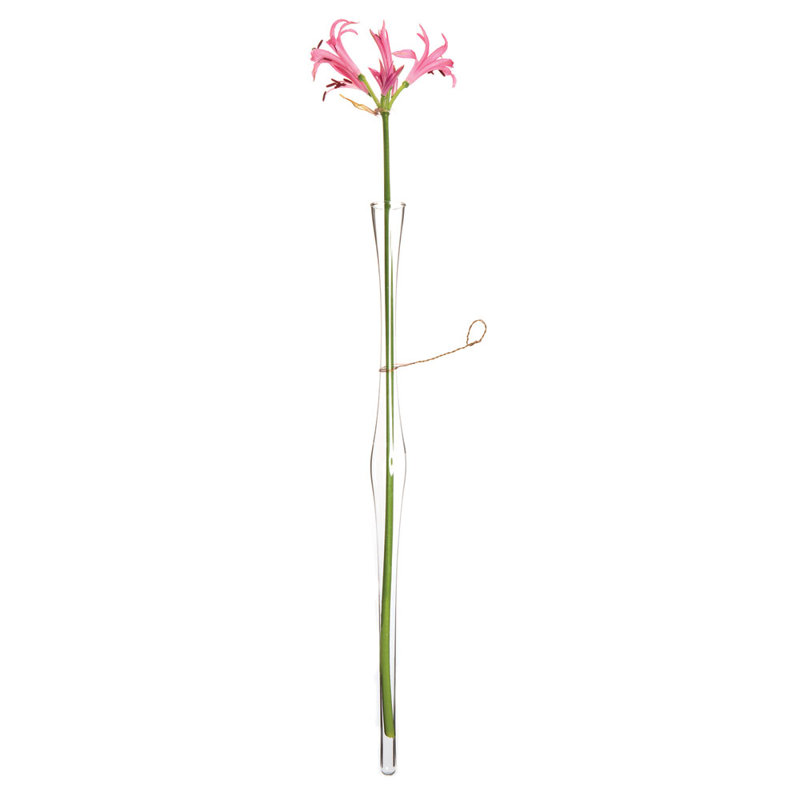 Hana Glass Table Vase