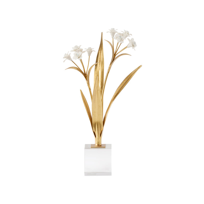 Paperwhite Narcissus