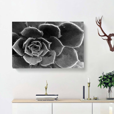 Succulent Plant - Wrapped Canvas