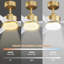 Ventilateurs de plafond intelligents à 3 pales de 46 po avec éclairage à DEL à distance, moteur à courant continu silencieux, à intensité variable, intérieur extérieur, contrôlé par WIFI Alexa App-13861274-13861278