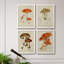 Champignon Variétés Ix - ensemble de 4 reproductions d'art sur toile encadrées-892446965-892446966