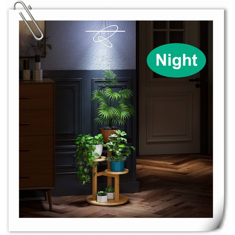 Support pour plante d'intérieur, petit support pour plante à 3 niveaux, support pour plante en bambou pour plantes d'intérieur multiples, support pour plante d'angle pour fenêtre jardin balcon extérieur