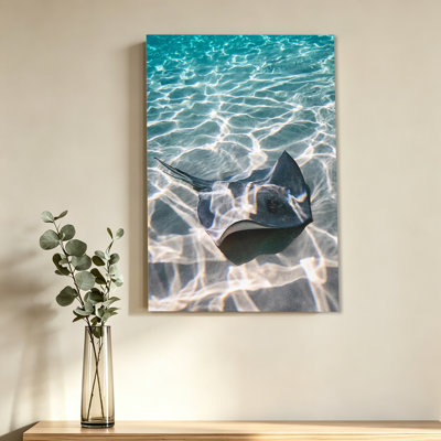 Animal stingray ray swimming under the sea poster