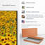 «Endless Sunflower Field», reproduction sur toile-218508427
