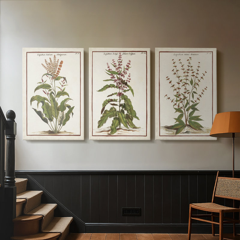 Munting Botanicals I - Toile tendue avec châssis sur mesure - 3 pièces, H 48 po x l 96 po, Impression sans cadre