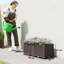 Raised Garden Bed-1056350896