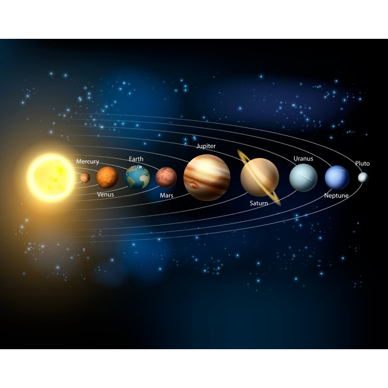 Elanya Matte Wall Mural, 280 cm L x 350 cm W