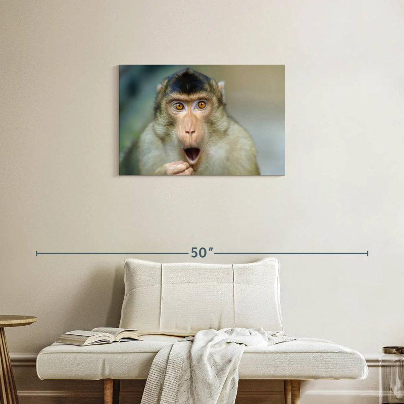Brampt Monkey I, 20" H x 30" W