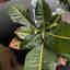 Customer photo 3 of 4