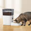 Distributeur automatique de nourriture pour chat pour animaux avec enregistreur de minuterie