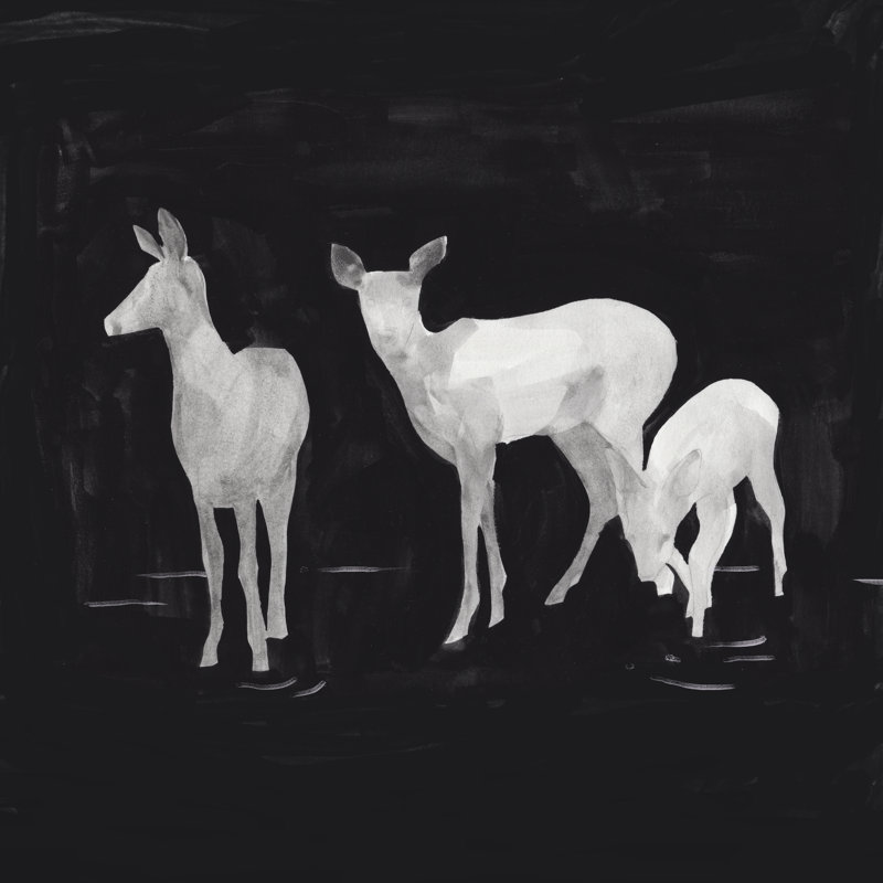 Sophisticated Whitetail II by Jacob Green - Wrapped Canvas Painting, 30cm H x 30cm W x 3.8cm D
