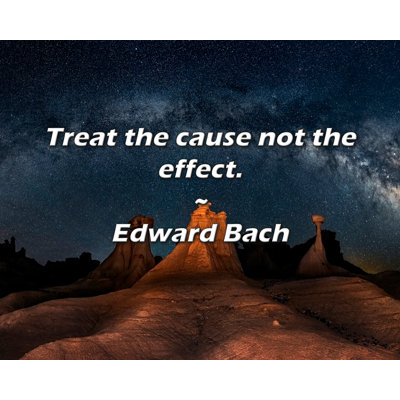 Artsy Quote "Treat the cause not the effect." By Edward Bach Gallery Wrapped Canvas