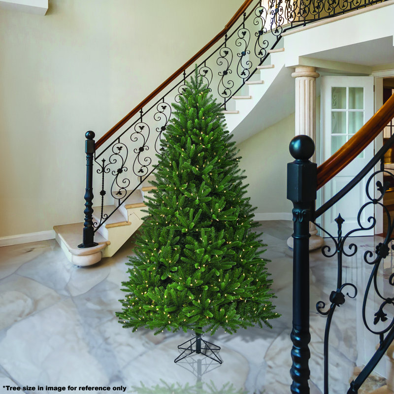 Sapin royal à DEL, 6.5'