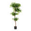 Amee 61" H Creative Shaped Faux Ficus Tree in Pot