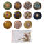 6Pcs Ceramic Furniture Knobs