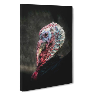 Turkey Bird - Wrapped Canvas Print