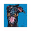 Fun Doberman - Wrapped Canvas Painting-1838241421
